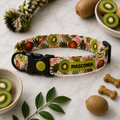 Collar Kiwi